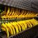 Network cabling for a Leeds office and warehouse