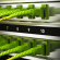Data and voice cabling installation in Preston, Lancashire